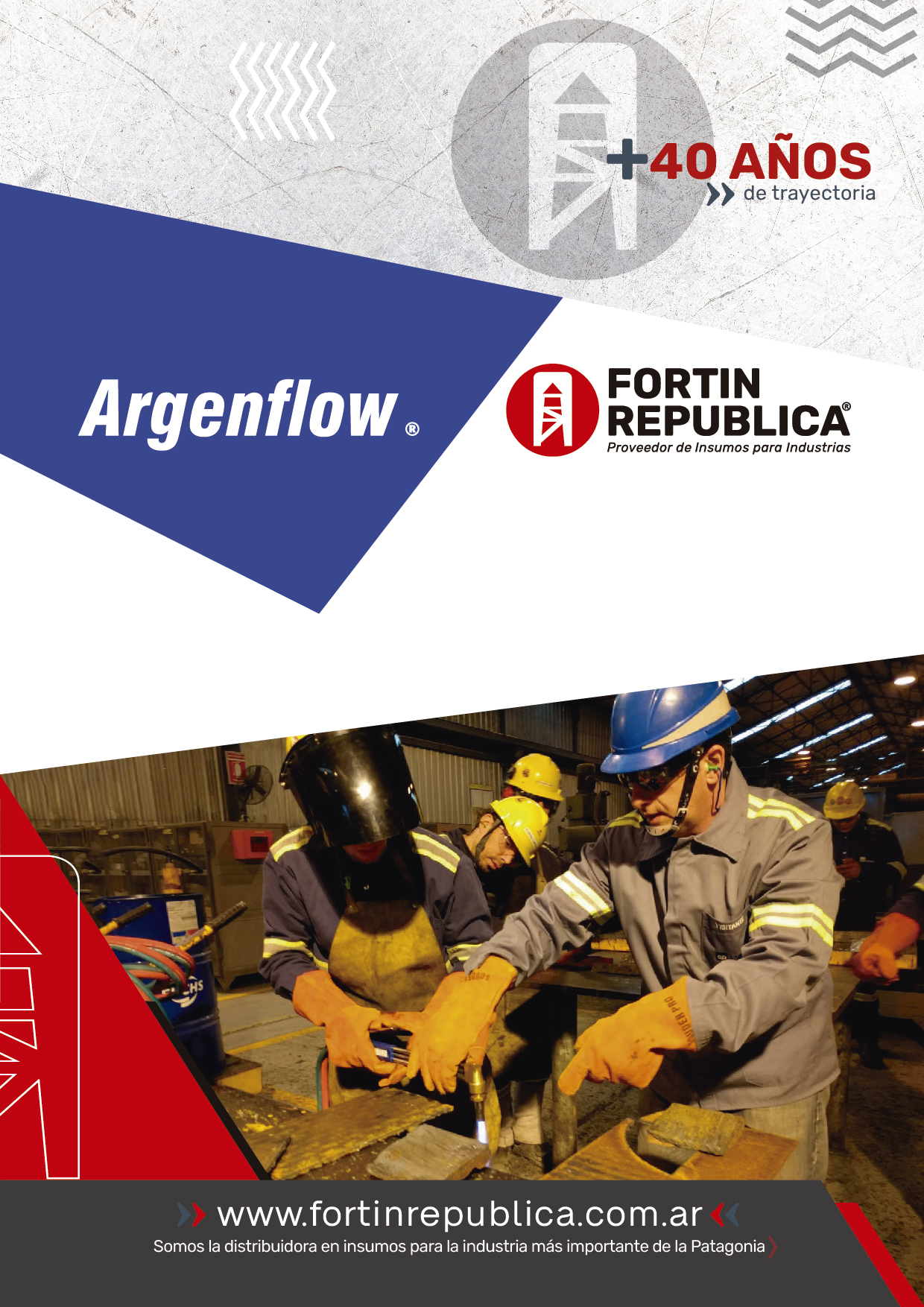 Catalogo Argenflow Fortinb-01